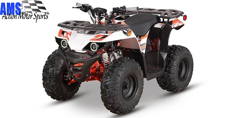 2026 Kayo Bull 125 EFI