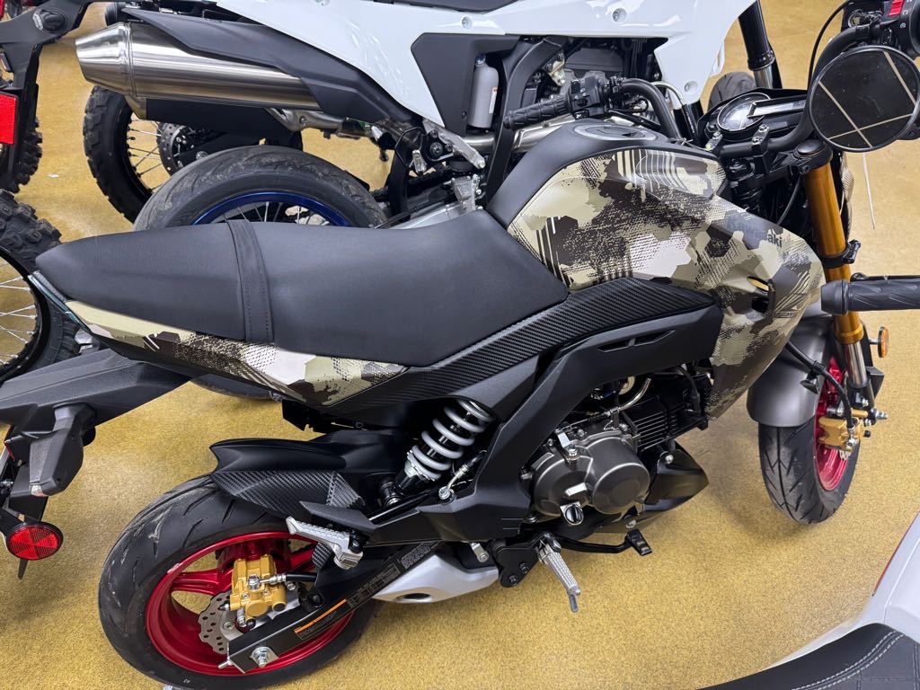 2025 Kawasaki Z125 PRO